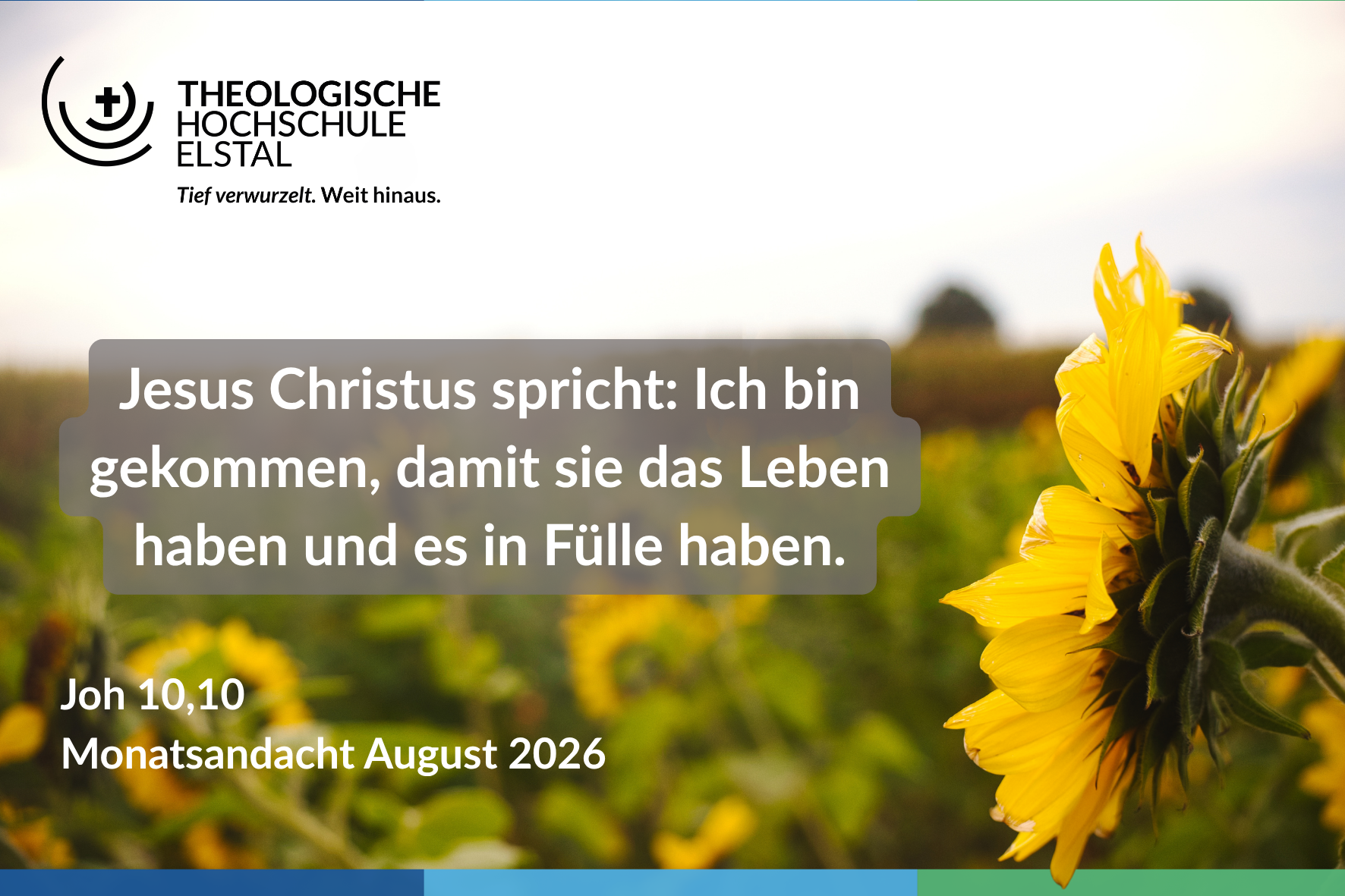 Monatsandacht 2026 August